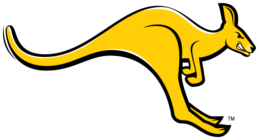 UMKC Kangaroos 2008-2016 Secondary Logo v2 diy iron on heat transfer